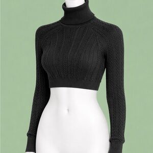 Ardene Women Black Crop Top Knit Turtleneck